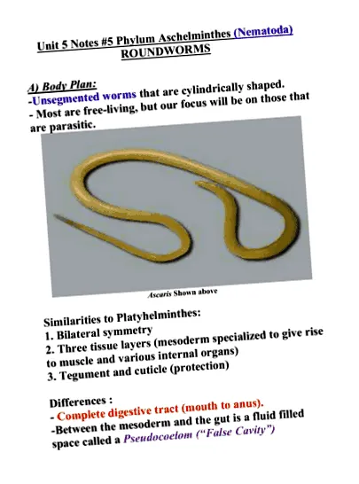 digital textbook