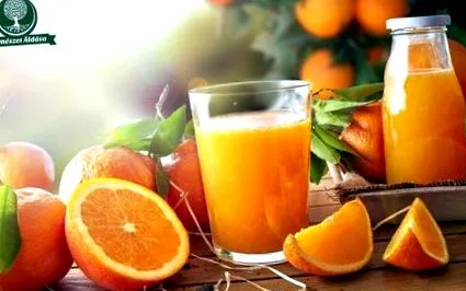 fructe fructe