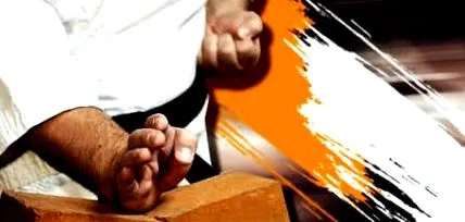 мистецтва бойових мистецтв