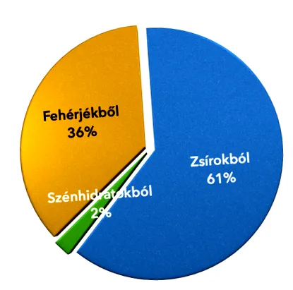 яйцата никога