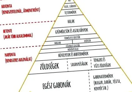 макробиотици макробиотици