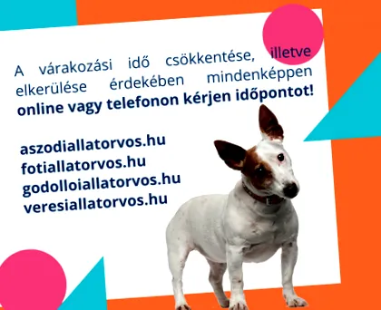 куче вашето