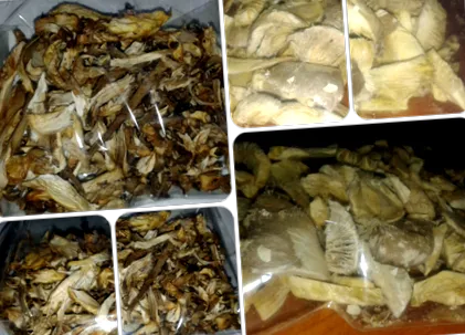 ліофілізувати чому