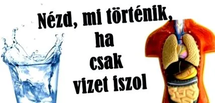 întâmplă