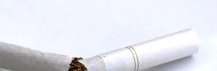 какви какви