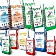 кучета monge