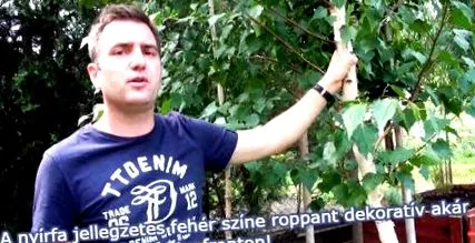 răsadurilor comandarea