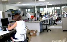 funcția tiroidiană laborator