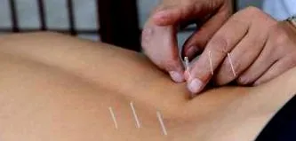 професионален Fresh Flavors