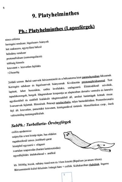 годишно годишно