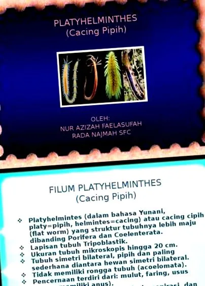 platyhelminthes adalah