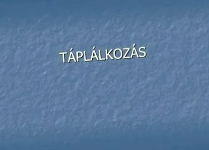 powerpoint хранене