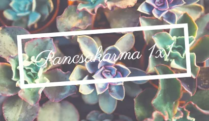 pancsakarma kundalini