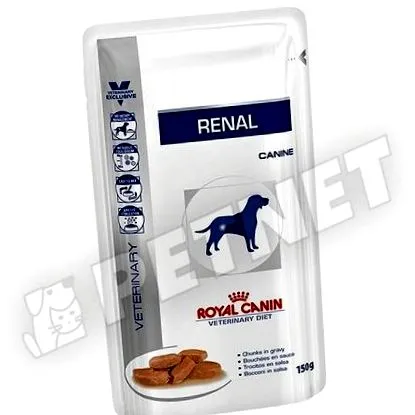 renal renal