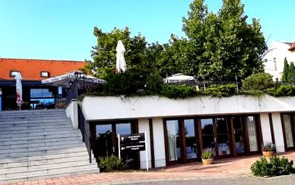 зелена салата ретро
