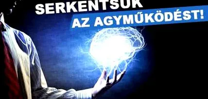 работата мозъка функция