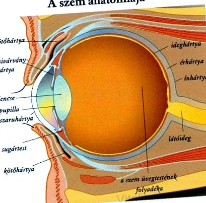 prevenirea inflamației