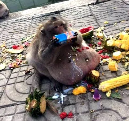 беше беше