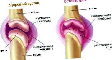 природні