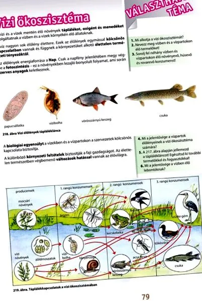 супени лъжици храна