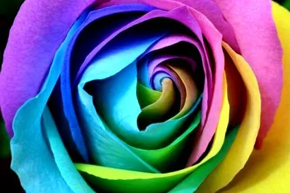 terapia colorată