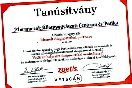 центр центр