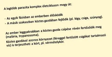 червеи кучешките