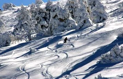 карате