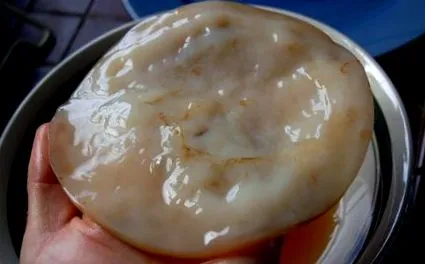 комбуча