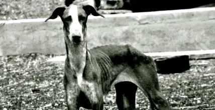 храним
