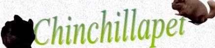 chinchillapet