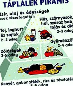 здравословно точки