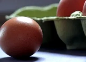 лъжици вода яйца