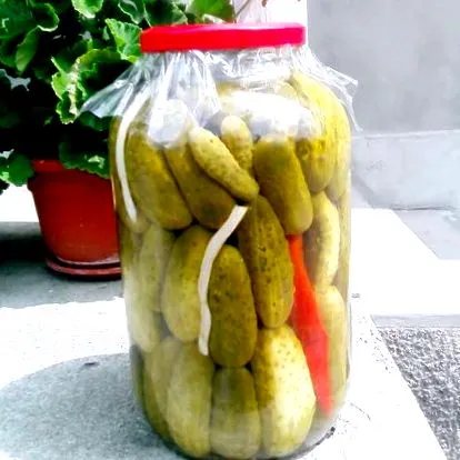 краставица симптоми