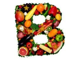 surse vegan