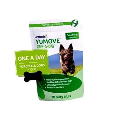 snack yumove