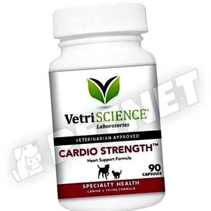 science vetri