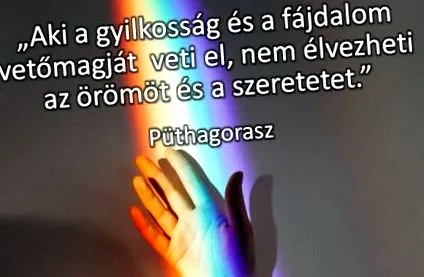 цитати цитати