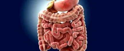 colovada colovada