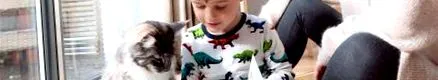 кучета кучета