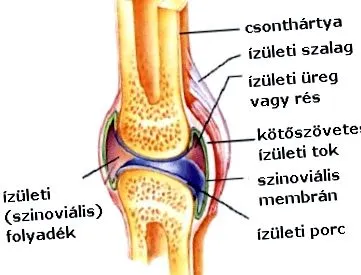 спомагателни спомагателни