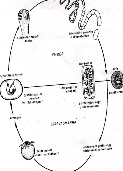 дефіцит дефіцит