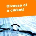 илонка илонка