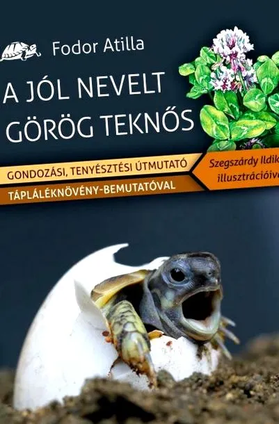 добре гръцка