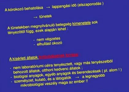 este focală