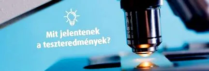 интерпретация интерпретация