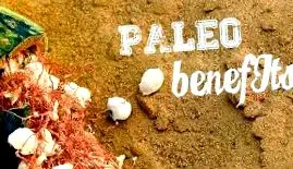 paleolitice dietei paleolitice