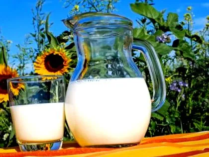 produse lactate