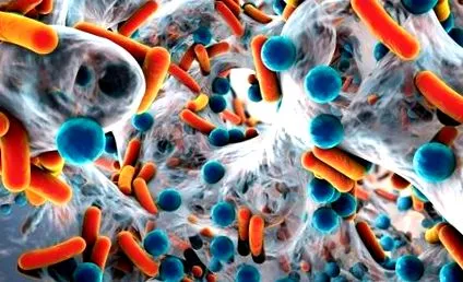 microbiomului