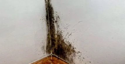 причинено причинено